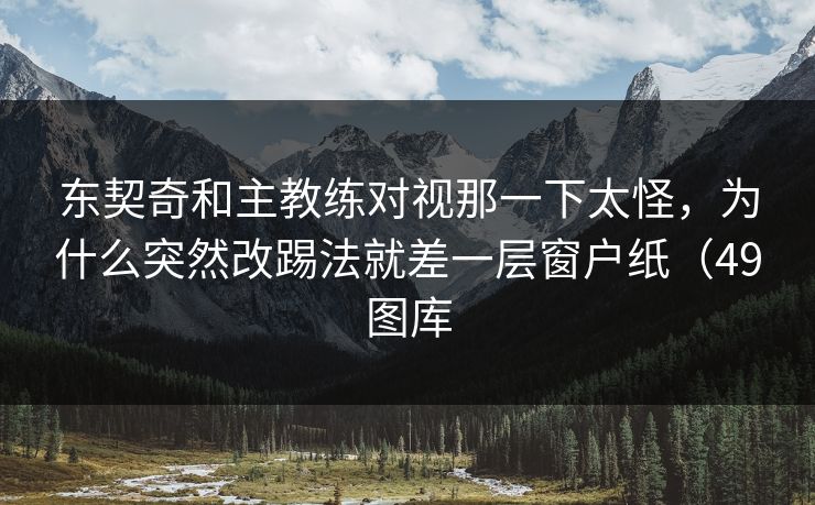 东契奇和主教练对视那一下太怪，为什么突然改踢法就差一层窗户纸（49图库