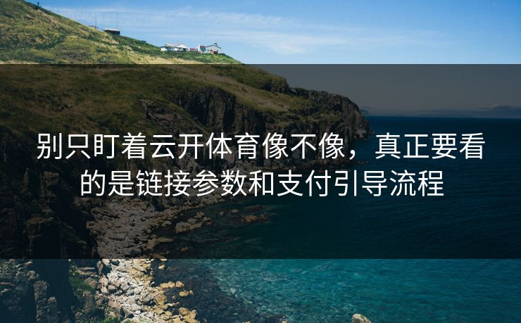 别只盯着云开体育像不像,真正要看的是链接参数和支付引导流程 别只盯着云开体育像不像,真正要看的是链接参数和支付引导流程