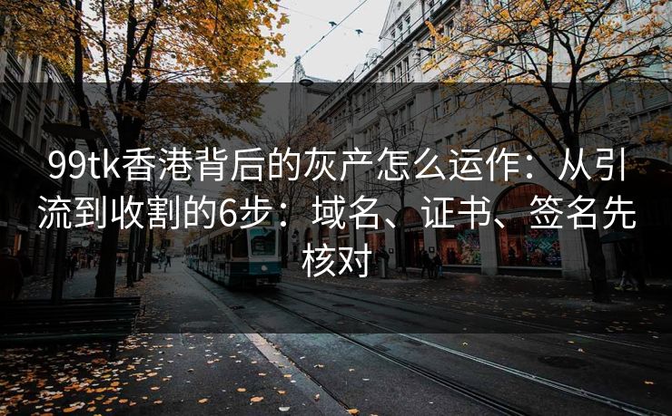 99tk香港背后的灰产怎么运作:从引流到收割的6步:域名、证书、签名先核对 99tk香港背后的灰产怎么运作:从引流到收割的6步:域名、证书、签名先核对